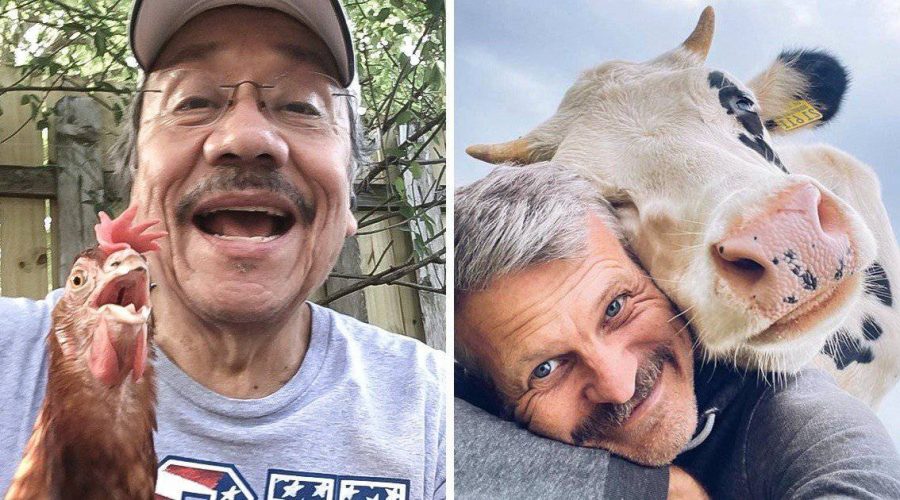 20 lustige Selfies mit verrückten Tieren, die dich garantiert zum Lachen bringen