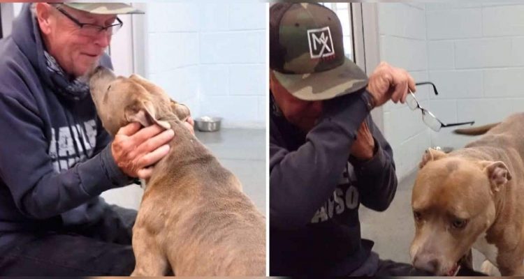 200 Tage der Trennung: Als dieser Hund und sein Besitzer sich in die Arme schließen, rollen Tränen