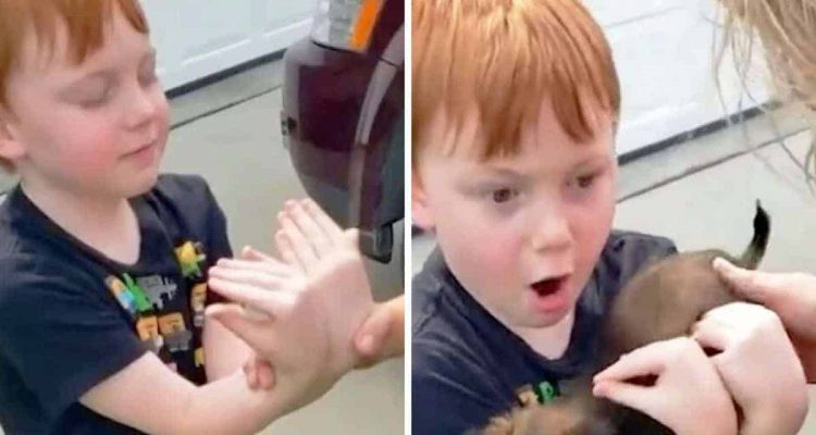 6-Jähriger spart 18 Monate auf einen Welpen - dann erhält er eine herzerwärmende Überraschung