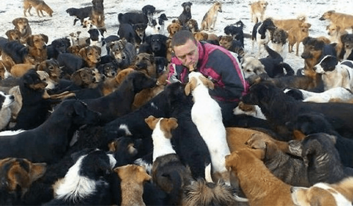 750 verlassene Hunde gerettet - was mit 4 Welpen begann, wurde eine Lebensaufgabe!