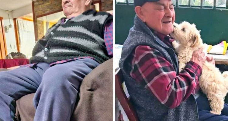 96-jähriger Mann bekommt kleinen Welpen geschenkt: So wunderbar verändert das Hundebaby sein Leben