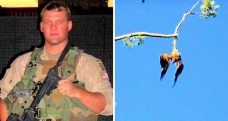 Adler über Tage im Baum verfangen - Niemand hilft ihm, dann richtet Soldat seine Waffe auf ihn