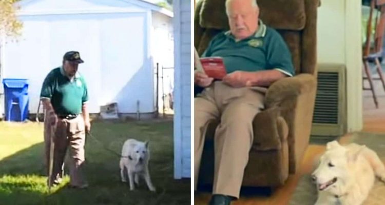 Alter Mann rettet alten Hund - wie die 2 Freunde sich dann gegenseitig helfen, rührt zu Tränen