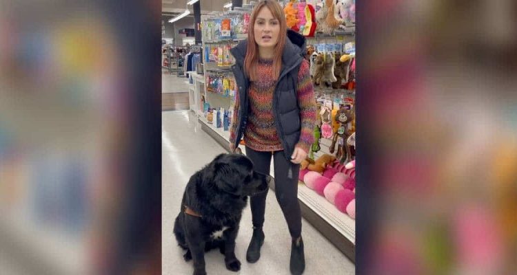 Blindenhund soll Frau zu ihrer Mutter führen – wo er sie dann hinbringt, sorgt für einen Lachanfall