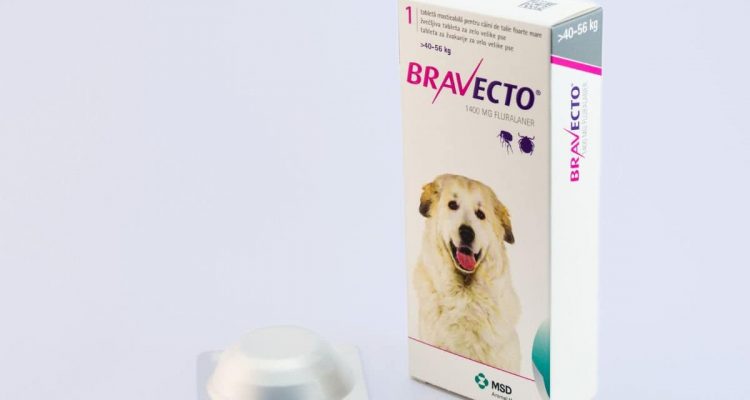 Bravecto für Hunde Dosierung, Wirkung & Nebenwirkungen