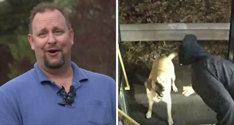 Busfahrer rettet ängstlichen Hund vor Entführung - seine clevere Reaktion macht ihn zum Helden