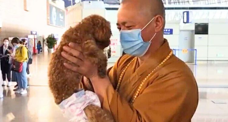 Chinesischer Mönch schenkt 8.000 Straßenhunden ein neues Leben in Freude
