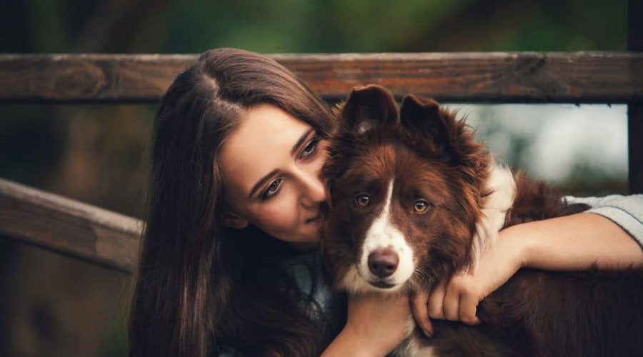 Darum solltest du deinen Hund nicht umarmen - laut Hunde-Experten