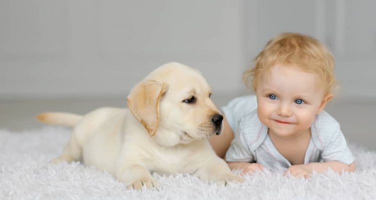 Baby girl with puppy
