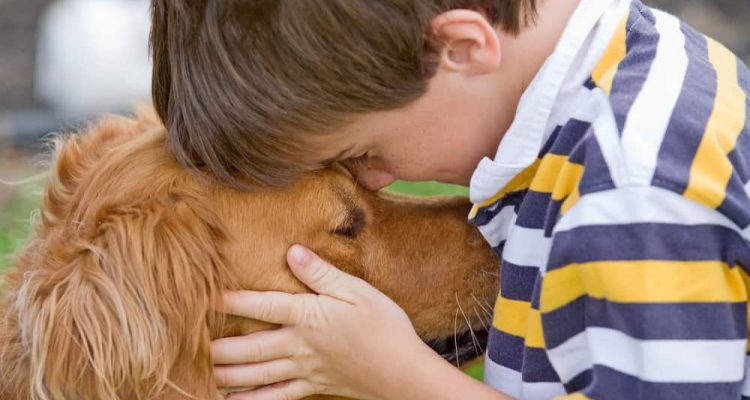 Schmusehunde: Wer einen Kuschelhund will, sollte sich an diese 6 Hunderassen halten (mit Bildern)