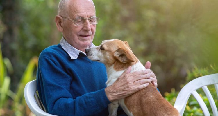 Senior man cuddling dog in garden