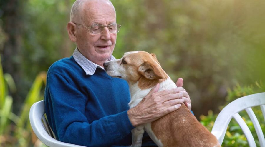 Portrait of senior man sitting in garden and cuddling cute dog in his lap