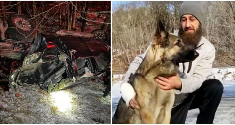 Deutscher Schäferhund rettet Herrchen nach schwerem Auto-Unfall - Er holte selbst die Polizei