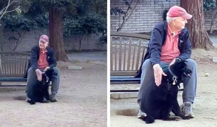 Hund verschwunden: Frau findet ihn kuschelnd mit einem Fremden auf Parkbank wieder