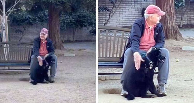 Hund verschwunden: Frau findet ihn kuschelnd mit einem Fremden auf Parkbank wieder