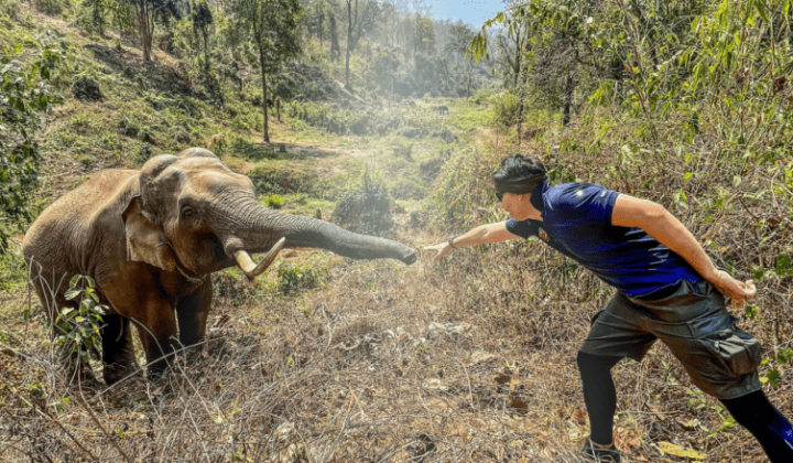 Elefant trifft Tierarzt, der ihm vor 12 Jahren das Leben rettete: Seine ...
