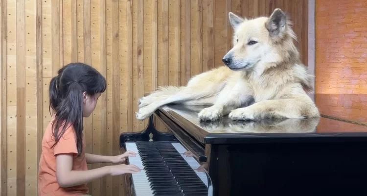 Extrem talentiertes Mädchen spielt für ihren Hund Klavierstück – Das Video berührt Millionen Herzen