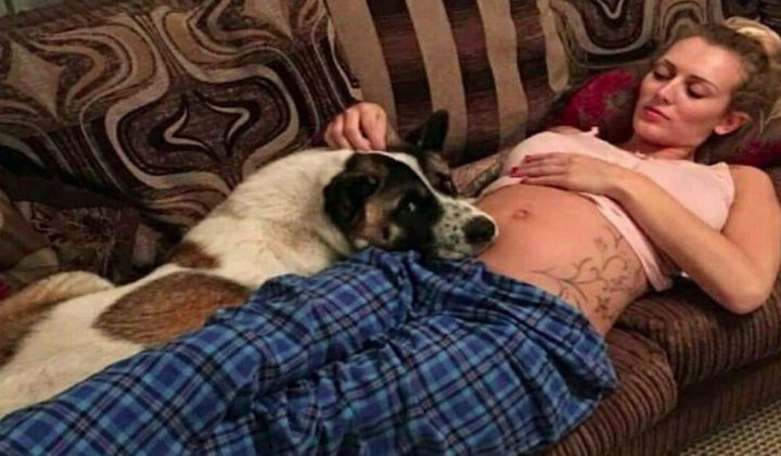 Hund will schwangere Besitzerin nicht alleine lassen - und rettet damit in letzter Sekunde ihr Leben