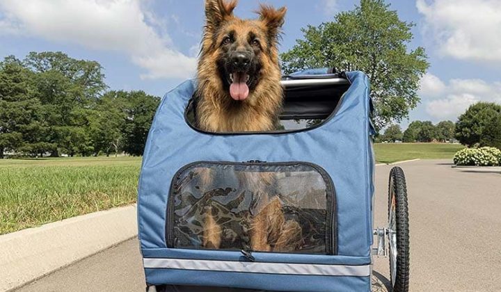 Fahrradanhänger Hund gefedert 2021