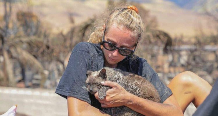 Flammenhölle auf Maui - Wie Tierschützer inmitten der Brände Hoffnung bringen, rührt zu Tränen