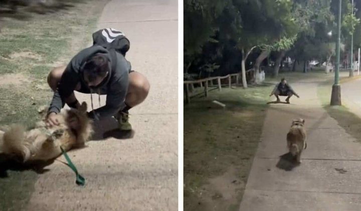 Frau trifft Ex-Freund im dunklen Park Wie ihr Hund reagiert, überrascht sie zutiefst