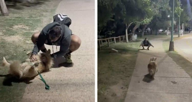 Frau trifft Ex-Freund im dunklen Park Wie ihr Hund reagiert, überrascht sie zutiefst