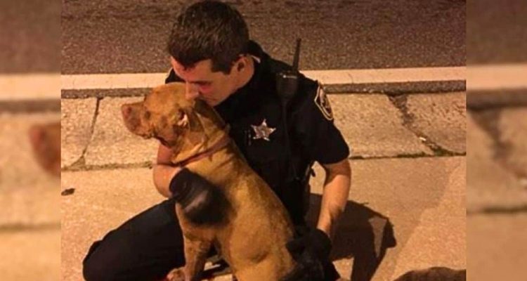 Geht ans Herz Polizist tröstet verletzten Hund – und gewinnt so einen Freund, der ihn nie vergisst
