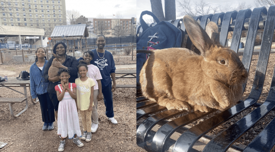 Geschichte rührt zu Tränen Vater schläft auf Straße, um das Kaninchen seiner Kinder zu behalten