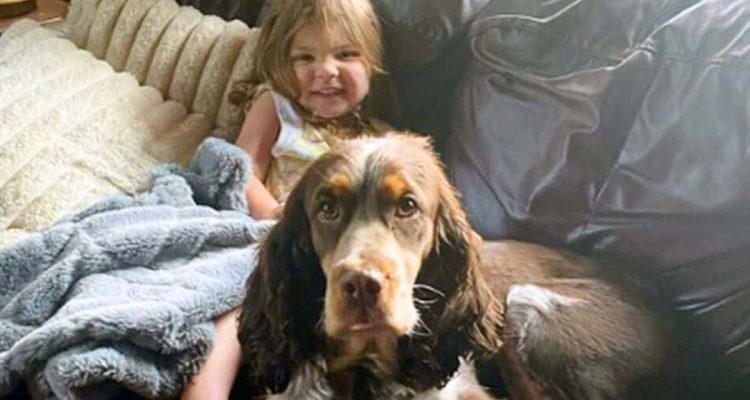 Kleines Mädchen und 2 Hunde verschwinden spurlos – so überraschend endet die Suche