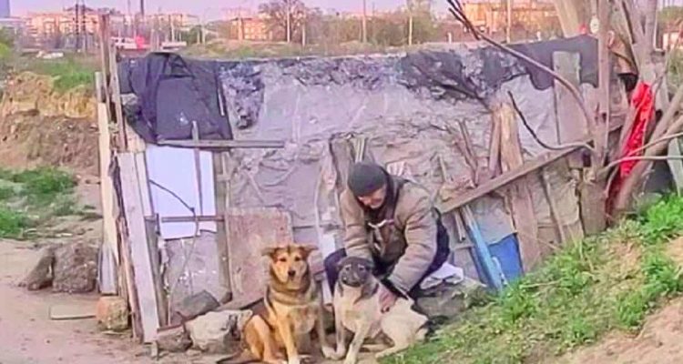 Herzergreifende Geschichte: Obdachloser Mann kümmert sich um 30 Hunde, obwohl er selbst nichts hat