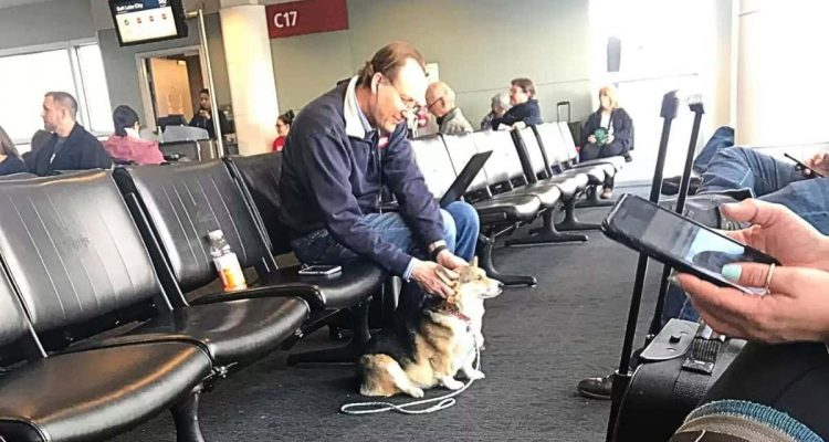 Hündin sieht traurigen Mann am Flughafen - ihre Reaktion erwärmt das Herz