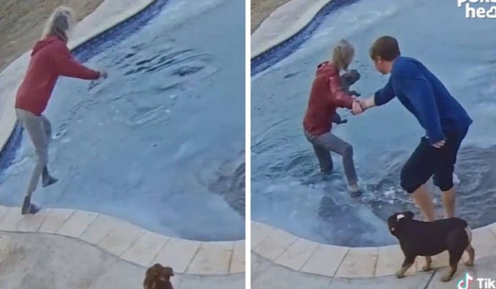 Hund bricht durch Eis ins Wasser Die Reaktion seiner Besitzerin sorgt für Aufregung im Netz
