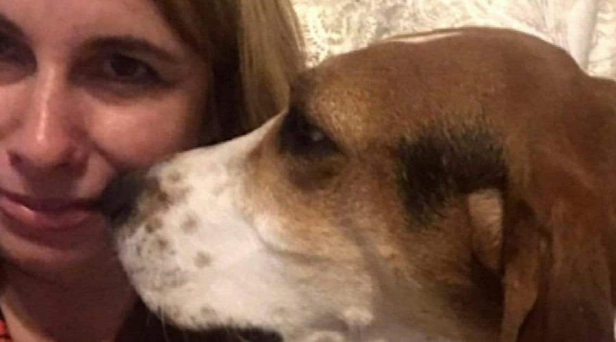 Hund verhält sich plötzlich komisch gegenüber Frauchen – Der Grund rettet vermutlich ihr Leben
