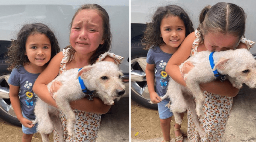 Hund vermisst – Polizist findet ihn und übergibt ihm dem kleinen Mädchen