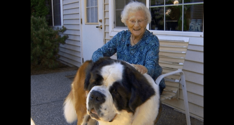 Hund versteht die Welt nicht mehr, als seine beste Freundin (95) plötzlich verschwindet