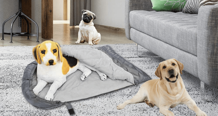 Hundeschlafsack: Die besten 5 Modelle im Test ([year])