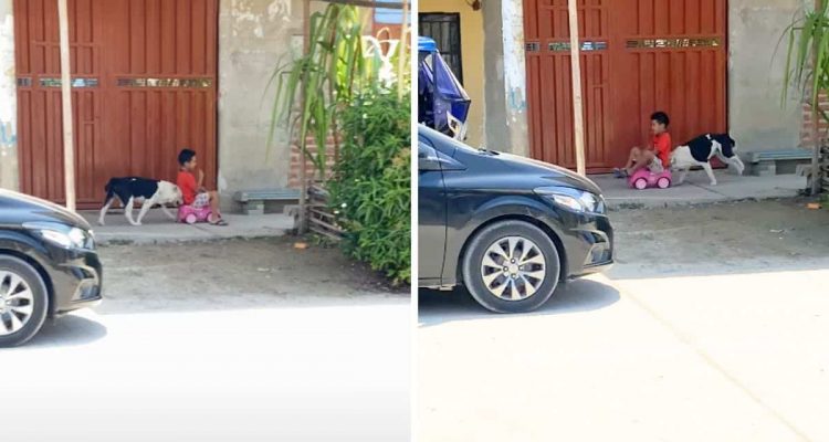 Junge in Spielzeugauto saust über den Bürgersteig - wie sein Hundefreund ihm dabei hilft, ist genial