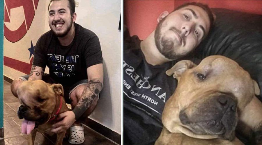 Keiner wollte den Hund mit Tumor im Gesicht adoptieren – bis dieser Mann in sein Leben trat und…