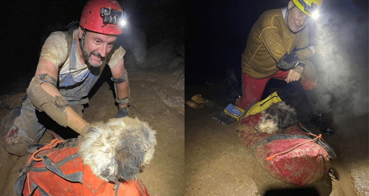 Kleiner Hund hat sich in einer Höhle verirrt und wurde dank abenteurer gerettet