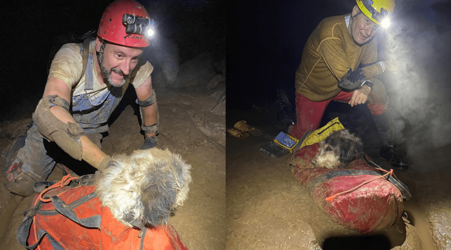 Kleiner Hund hat sich in einer Höhle verirrt und wurde dank abenteurer gerettet
