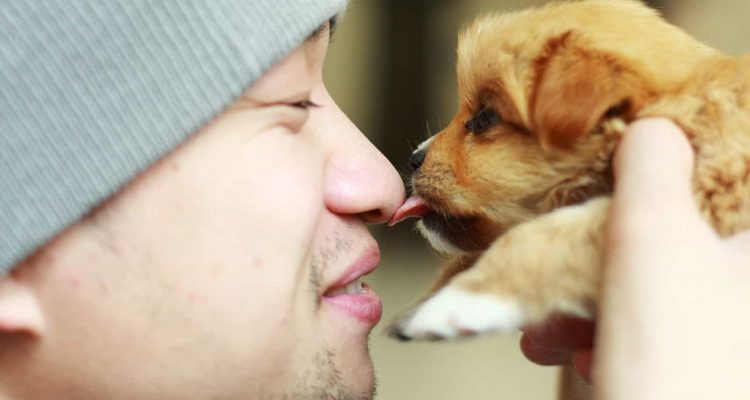Küssen verboten - weshalb man seinen Hund nicht küssen sollte