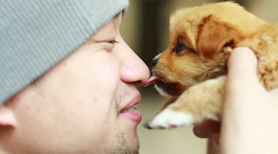 Küssen verboten - weshalb man seinen Hund nicht küssen sollte