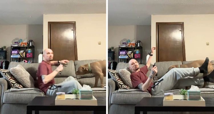 Mann legt sich aufs Sofa und stellt den Fernseher an – was sein Hund dann tut, sorgt für Lachtränen