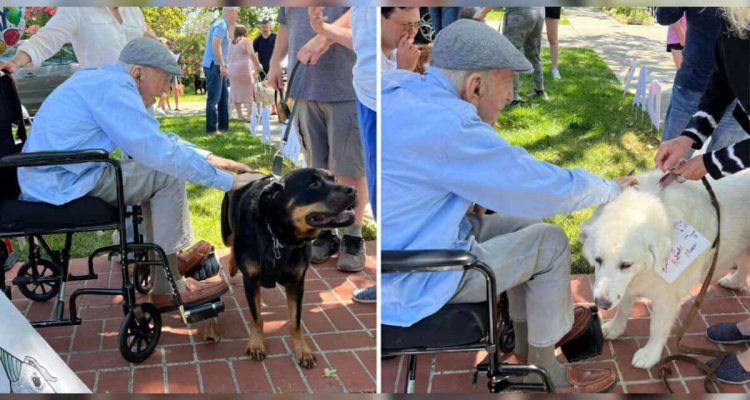 Mann liebt Hunde über alles - zu seinem 100. Geburtstag bekommt er die Überraschung seines Lebens
