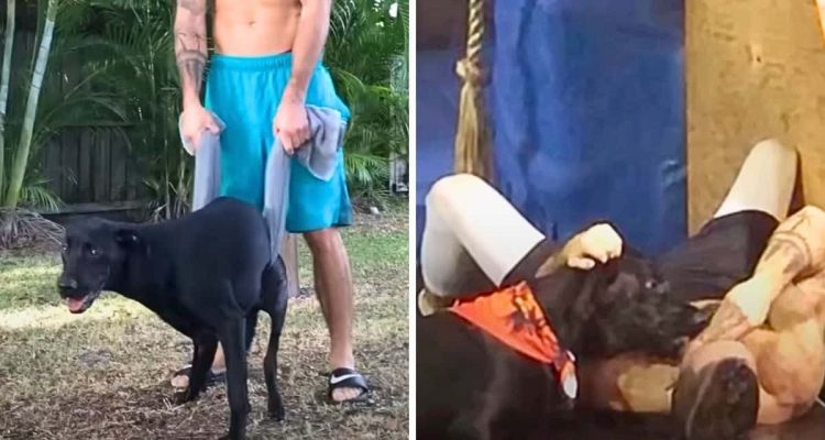 Mann rettet 3-beinigen Hund