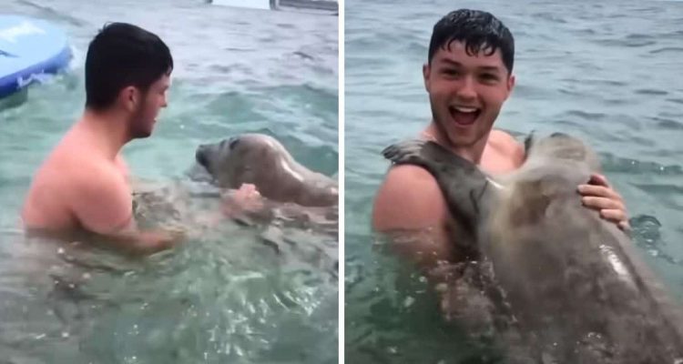 Mann schwimmt im Meer - dass er dabei einen unvergesslichen Freund findet, hätte er nicht erwartet