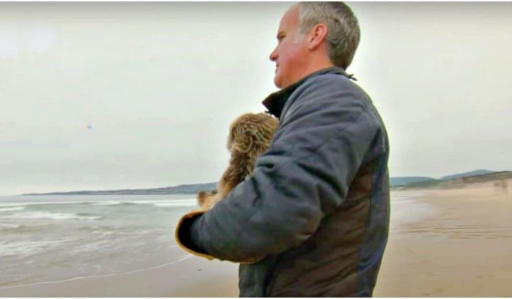 Mann spaziert mit Otter am Strand - Warum er das tut, trifft direkt ins Herz