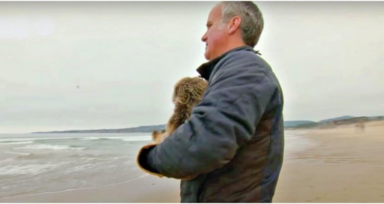 Mann spaziert mit Otter am Strand - Warum er das tut, trifft direkt ins Herz