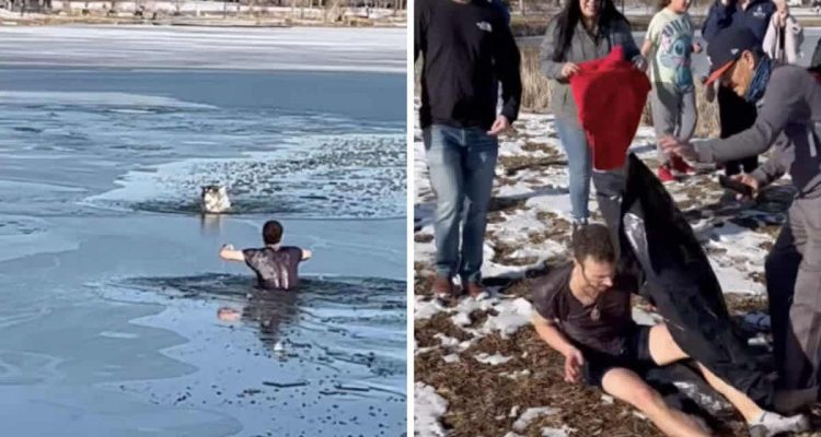 Mann springt in Eiswasser, um Hund zu retten - was dann passiert begeistert das ganze Internet