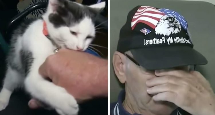 Mit welchem Trick diese Katze ihrem Herrchen das Leben rettet, ist einfach unglaublich
